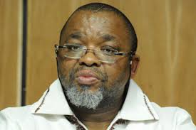 SANCP Bill establishes state fuel SOE