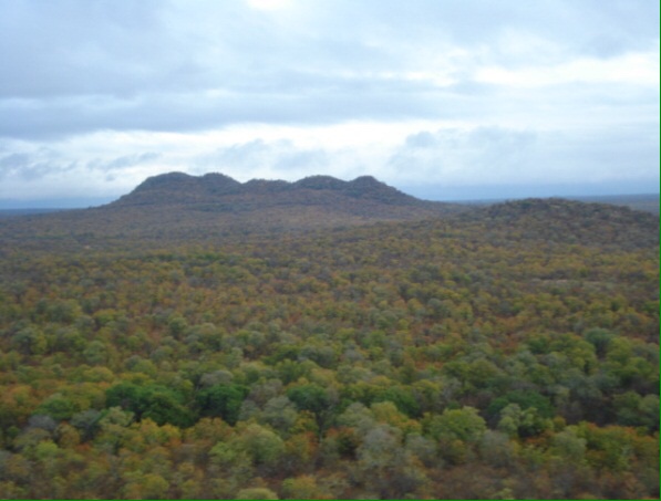 Minister to control agri-land sales